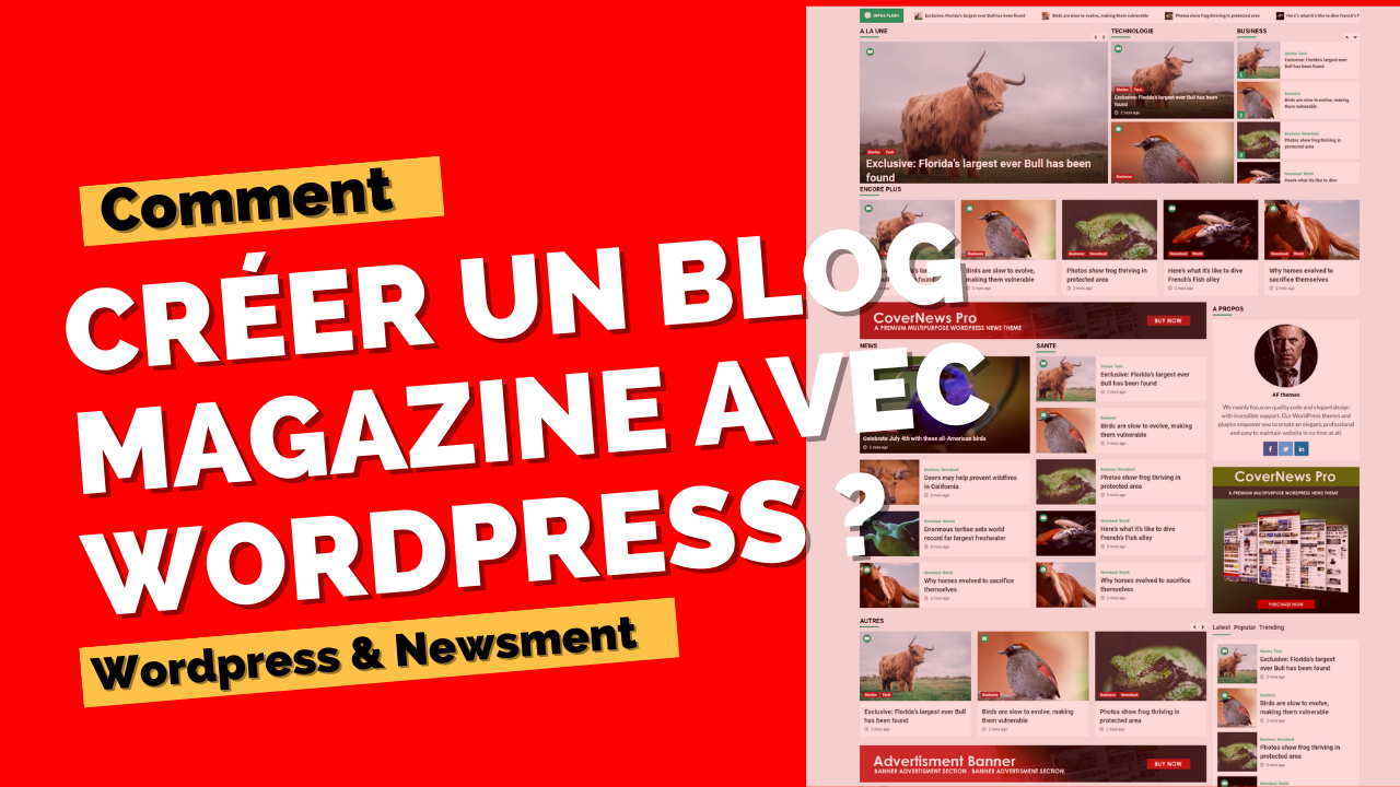 Créer un Blog d’actualité avec WordPress et Newsment